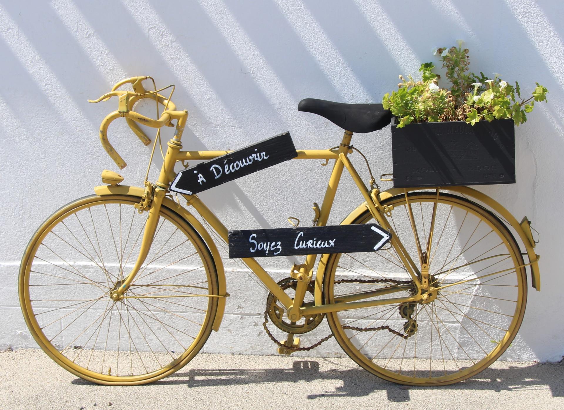 Velo 2